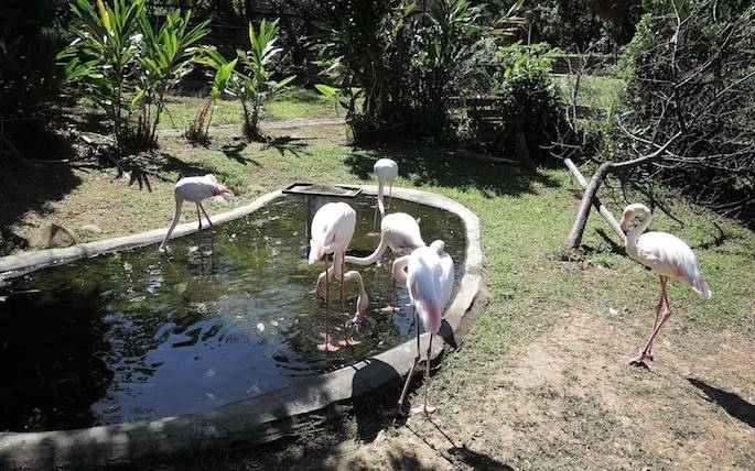 新竹景點「新竹市立動物園」Blog遊記的精采圖片