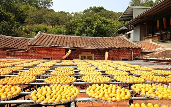新竹景點「金漢柿餅教育農園」Blog遊記的精采圖片